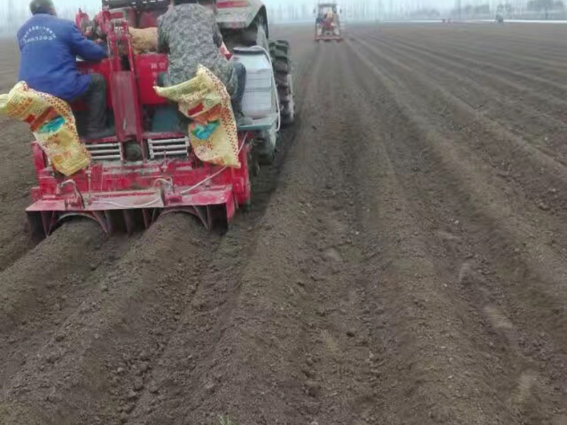 雙壟單行馬鈴薯種植機(jī)1.jpg