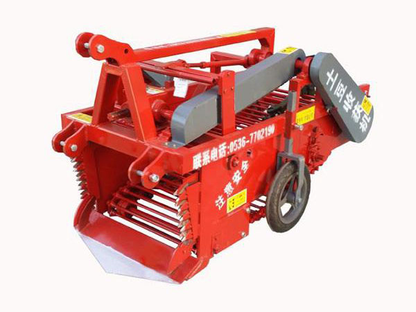 土豆收獲機(jī)廠家